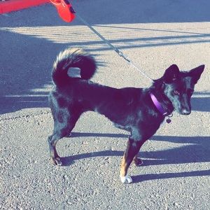 Meet your Posher, Danielle